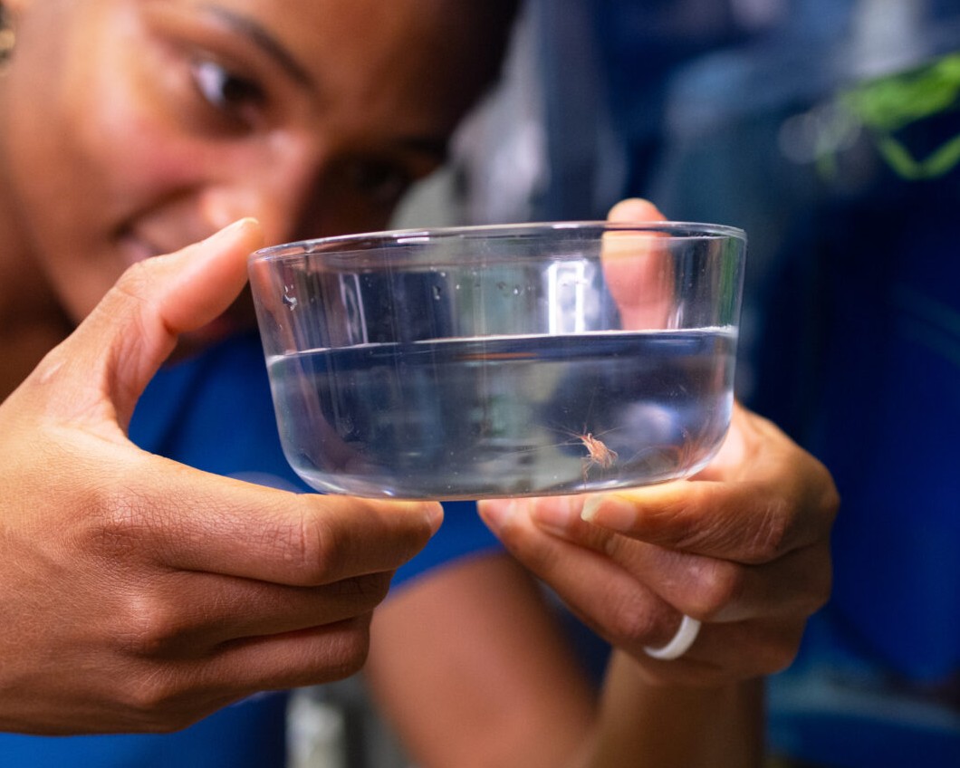 image of woman looking into a jar containing an insect in water